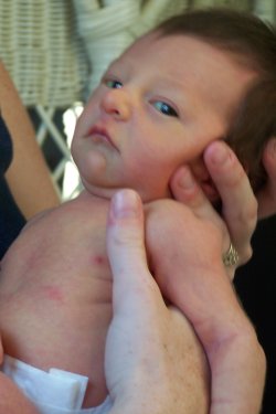 Kaden Michael Graham