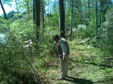 Wylie Pierson Johnson admires wild honeysuckle at Halfmile Shoals, Spring 2008.