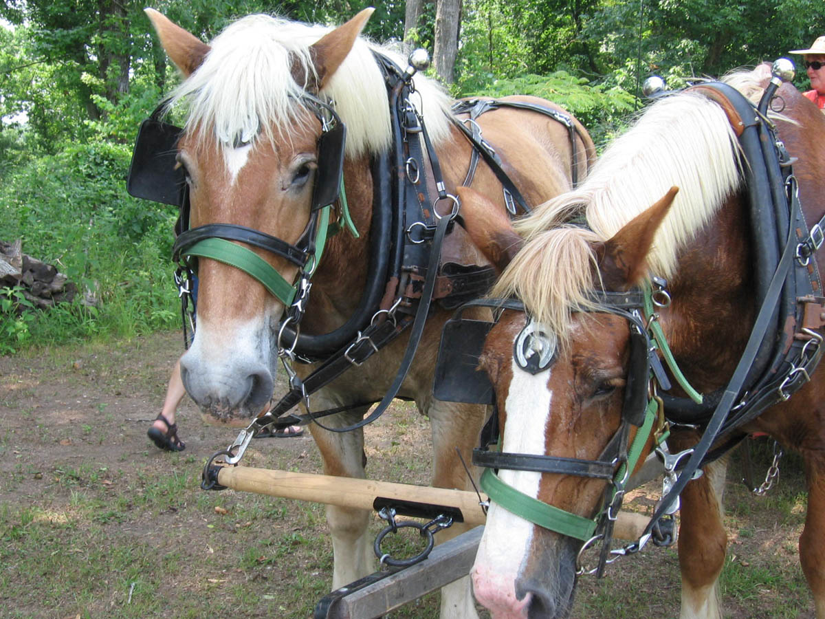 JohnsonReunion05 023