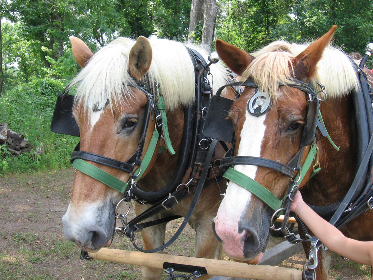 JohnsonReunion05 024