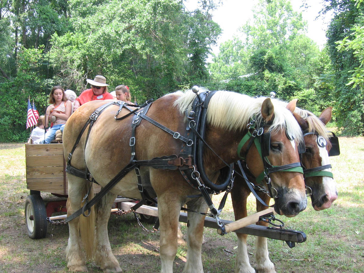 JohnsonReunion05 027